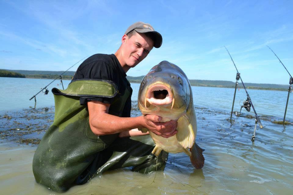 Dulapi - 1069840439244379507217731656459n.jpg